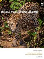 2025 Insider Journeys Trip Brazil Pantanal Brochure
