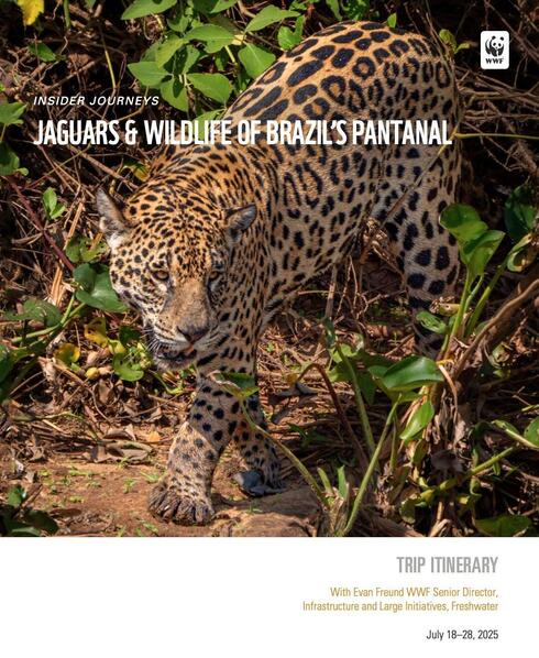 Download brochure