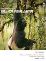 2025 Insider Journeys Madagascar Itinerary Brochure