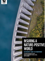 Insuring a Nature-Positive World Brochure