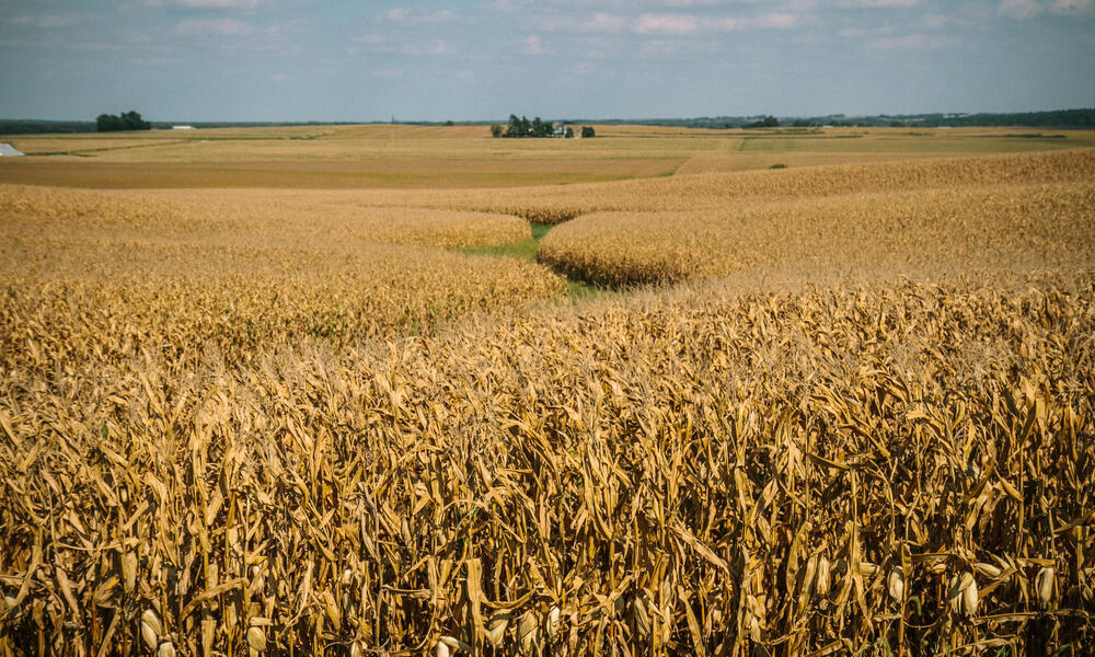 Iowa agricultural land.