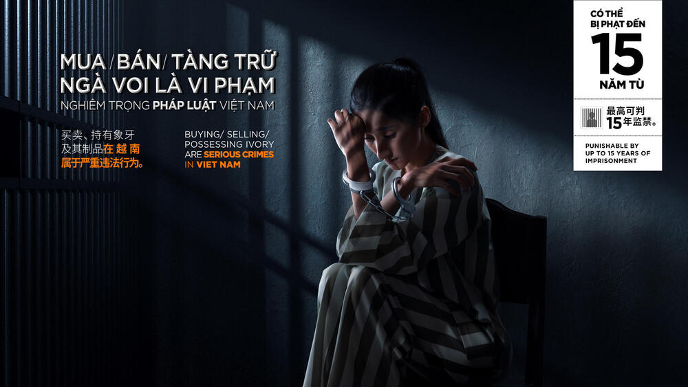 Still from Vietnamese ad about illegal ivory showing woman with ivory handcuffs sitting in jail cell