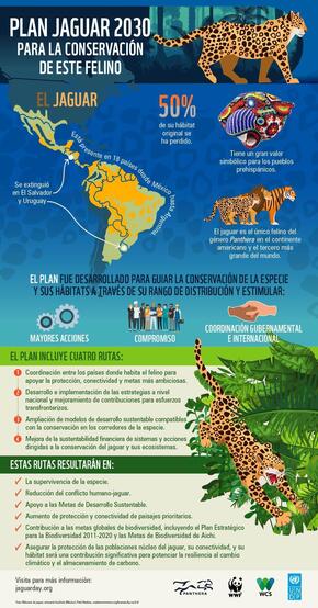 Jaguar Conservation Plan