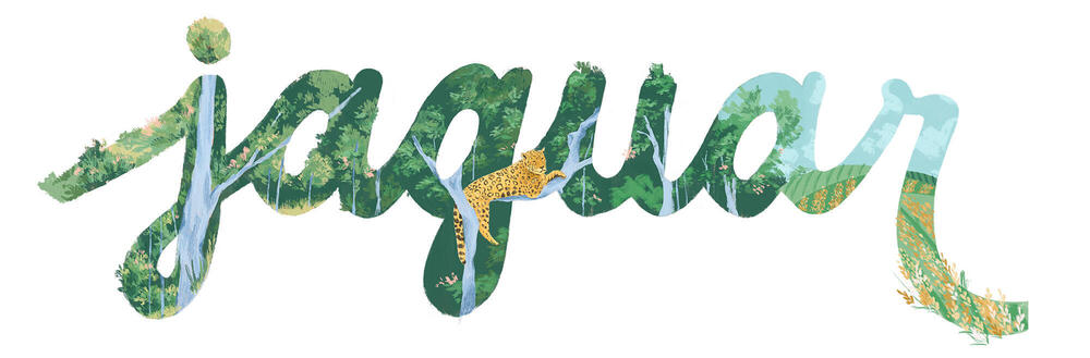 illustration of the word Jaguar