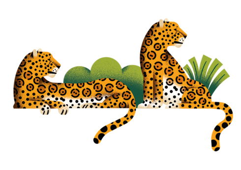 Illustration of 2 jaguars resting