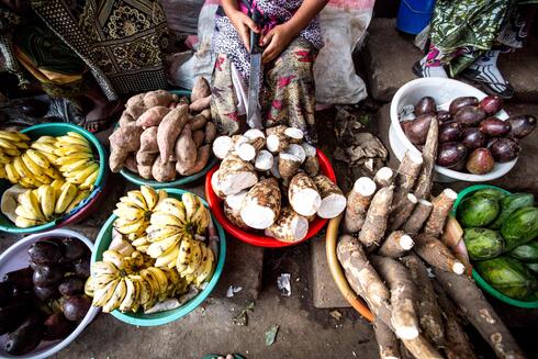Fruit and vegetable vendor in Primeiras e Segundas, norhtern Mozambique market