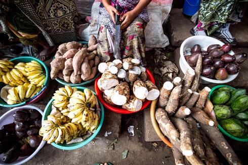 Markets Archive Archives - Fish Farmer Magazine