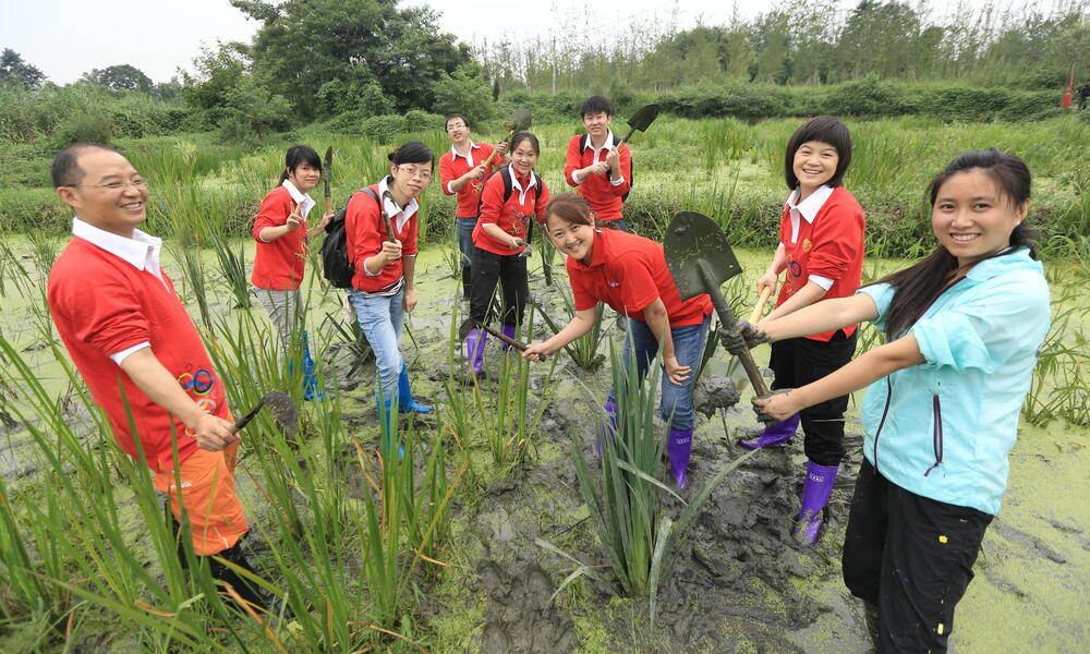 Jinyan wetlands