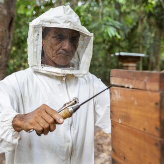 José Ivanildo Correa dos Santos harvests honey from stingless bees