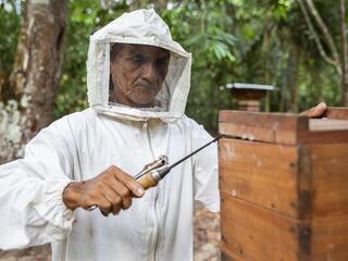 José Ivanildo Correa dos Santos harvests honey from stingless bees