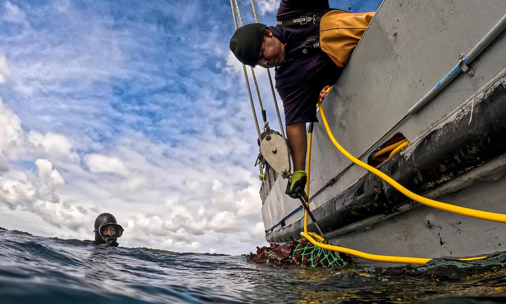  Diver diver Juan Ortega looks on from the water as Juan Chiguay hooks a net full of seaweed, that the diver collected off the coast of Guafo Island
