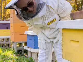 Julia Kurnik dressed as beekeeper, inspecting hive