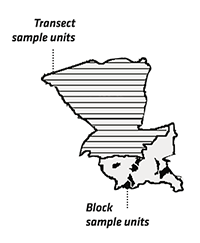 Drawing showing transect sample units and block sample units