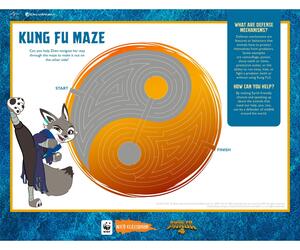 Maze