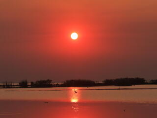 sunset in kafue
