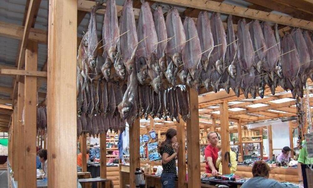 Dead Kamchatka salmon in a fishery