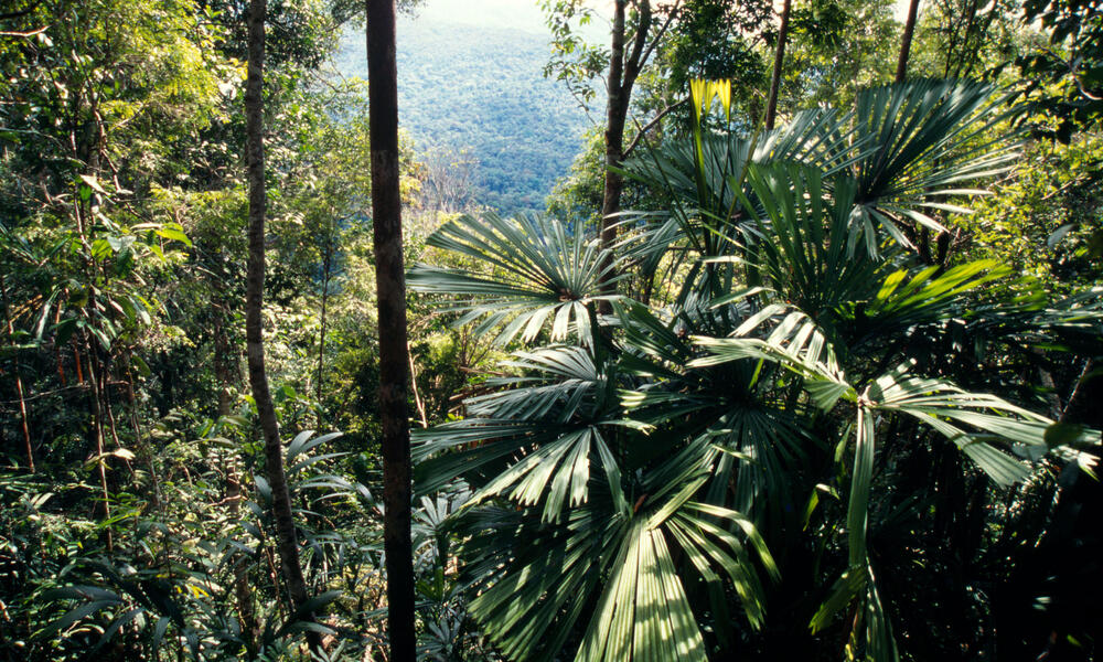 Conservation Finance Initiatives Wwf Conservation Finance Initiatives Wwf