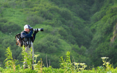 A photographer in lush, green foliage