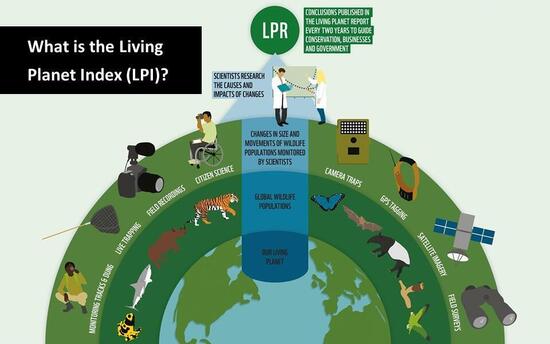 Living Planet Report 2022 Classroom presentation