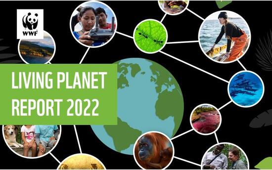 Living Planet Report 2022 Youth Edition