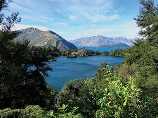 Lake Wanaka