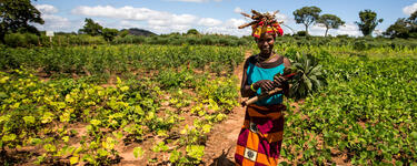 Rosa Alaneque owns the plot of land on which the Nacoma farmer field school operates.