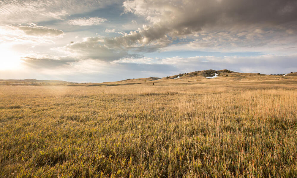 Landscape of Badlands National Park, South Dakota