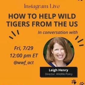 IG live poster of an event with Leigh Henry