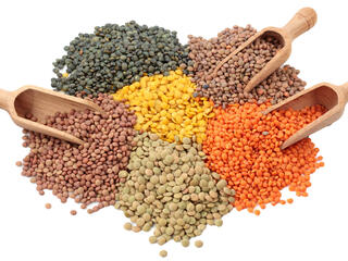 Various colors of dry lentils on surface