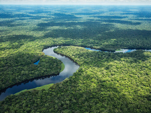Aerial photo of river bend in forest