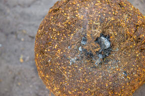 A chili bomb is lit after a homemade wick is pressed into the top of it.