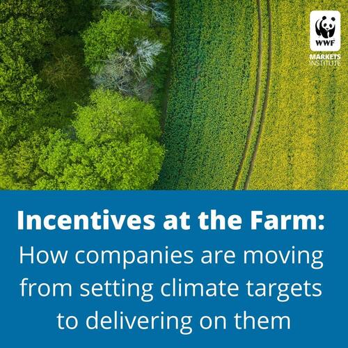 Square social share image of an aerial crop field with the text 'incentives at the farm: how companies are moving from setting climate targets to delivering on them'
