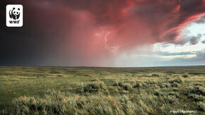 Lightning storm over grasslands