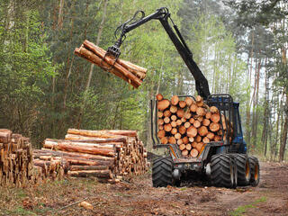 A logging truck in the forest lifting logs