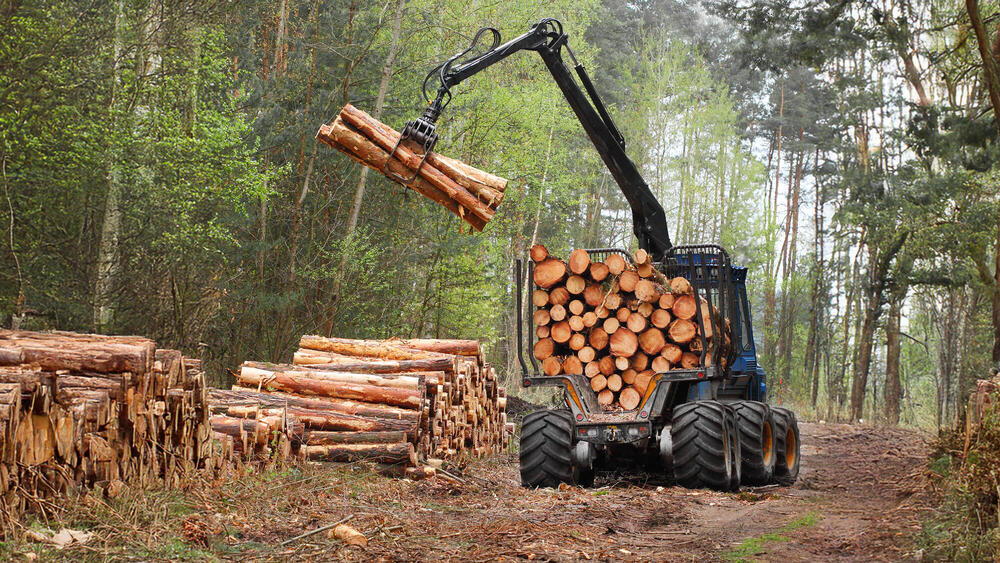 A logging truck in the forest lifting logs