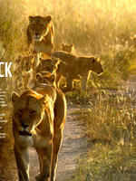 2024 A Look Back Brochure