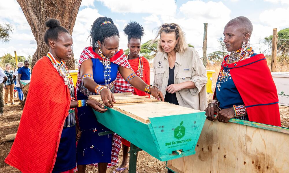 WWF's Loren Mayor learns beeking methods from the Ngaisi Women’s Group in Kenya