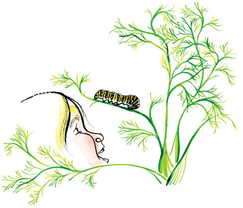 Illustration of a girl looking at a caterpillar