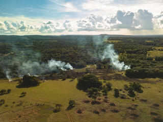 Ariel view of deforestation in Colombia