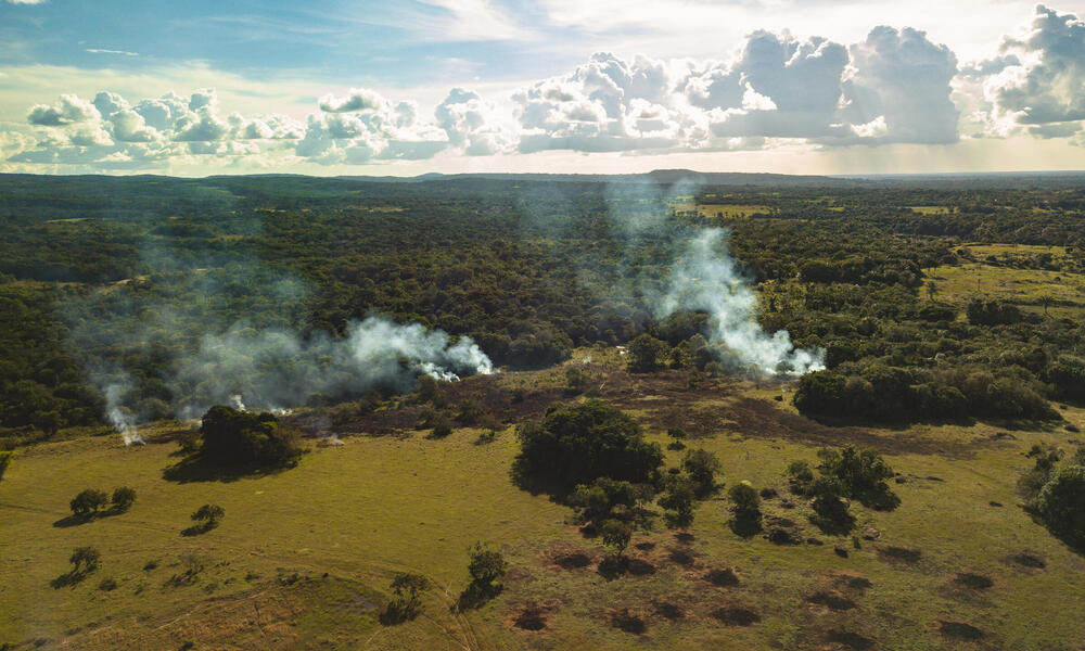 Ariel view of deforestation in Colombia