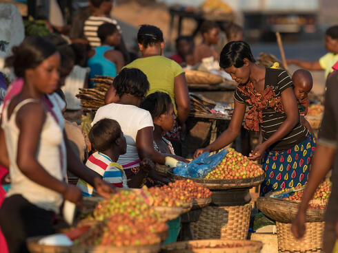 A woman carefully selects fruit, while traveling with her baby to Lusaka - Luangwa Bridge Market, Zambia
