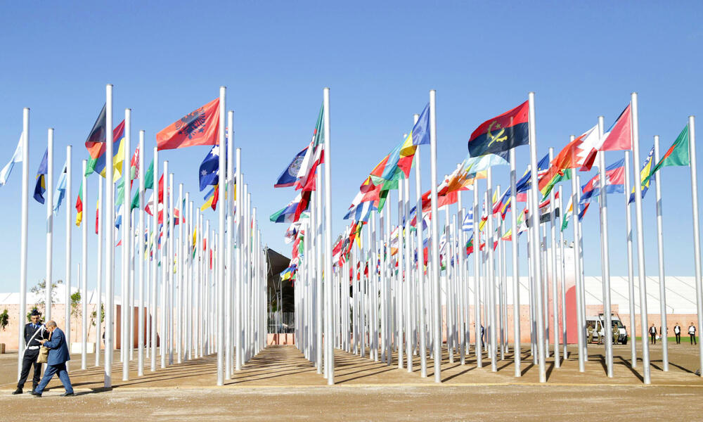 flags outside at COP22