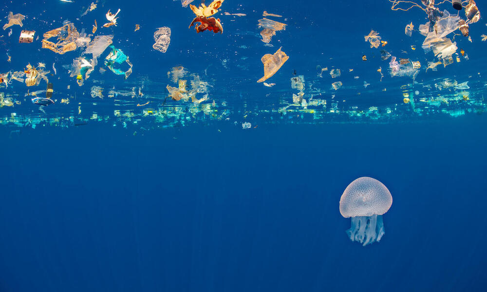 Jellyfish (Catostylus sp.) swims beneath a slick of plastic debris. Indian Ocean off Sri Lanka.