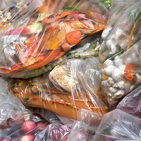 Food in trash bags