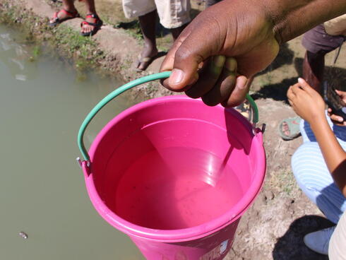 Releasing fish into a freshwater fish farm