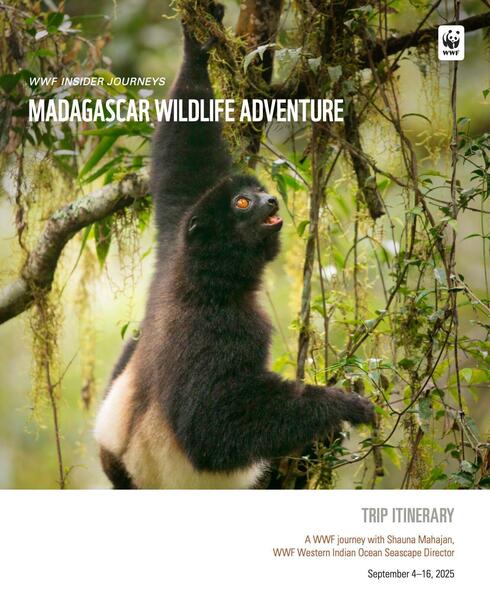 Download brochure