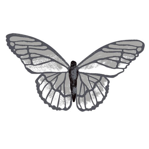 Made With Code Monarch Butterfly Drawing