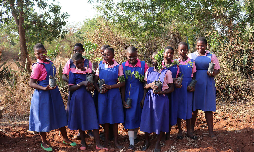 Girls lined up in school uniforms holding plants