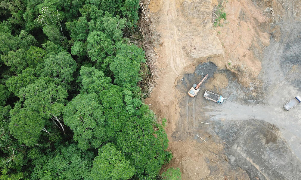  Deforestation aerial photo of lush green forest on the left and bare brown dirt next to it on the right