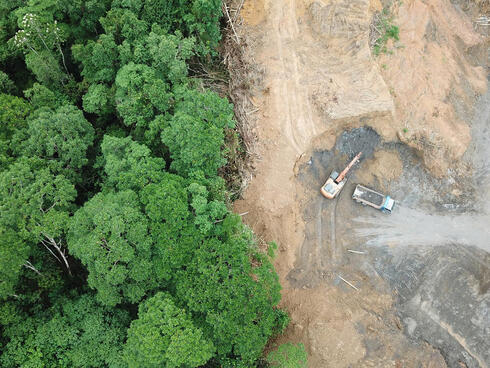  Deforestation aerial photo of lush green forest on the left and bare brown dirt next to it on the right